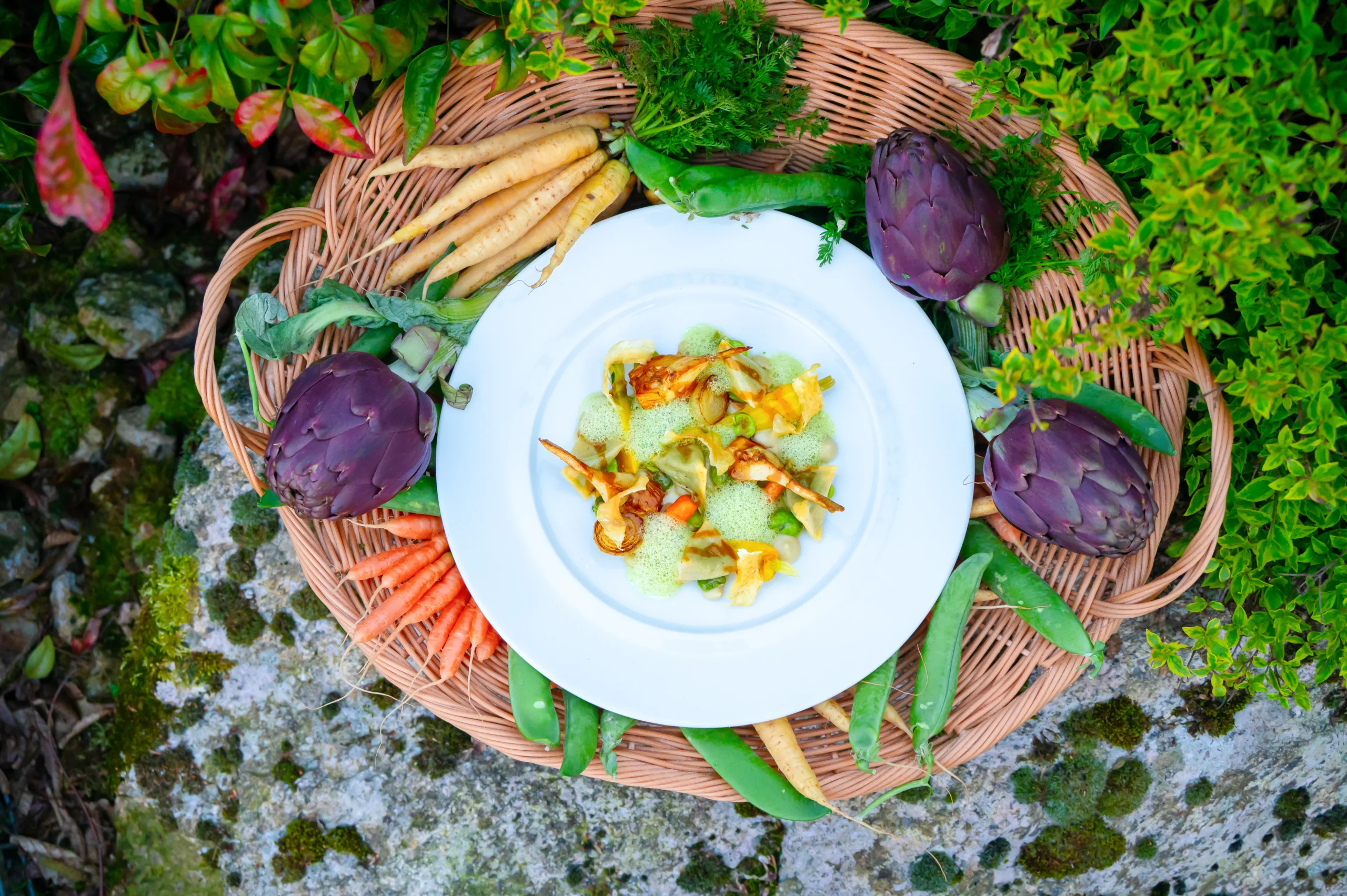Assiette gastronomique entourée de légumes frais