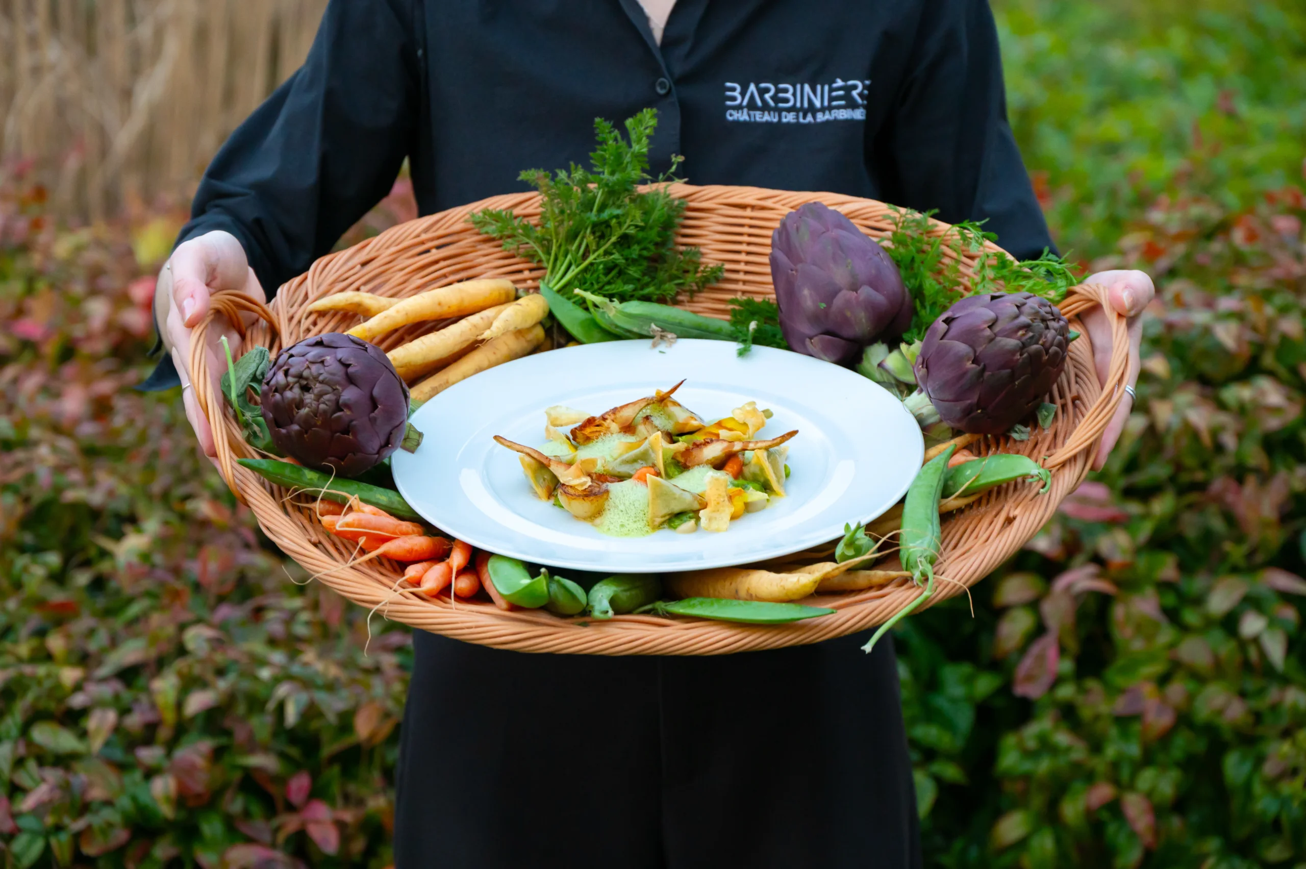 Panier de légumes frais et assiette gastronomique