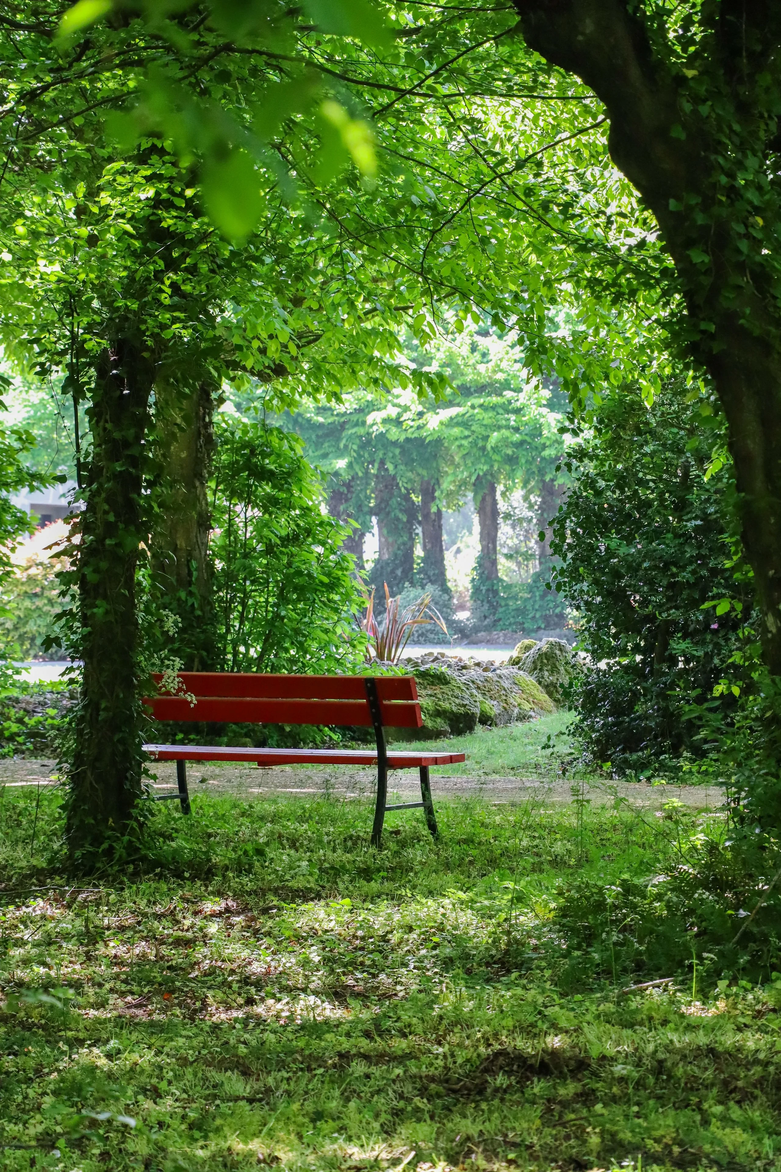 Banc rouge sous arbres dans parc verdoyant