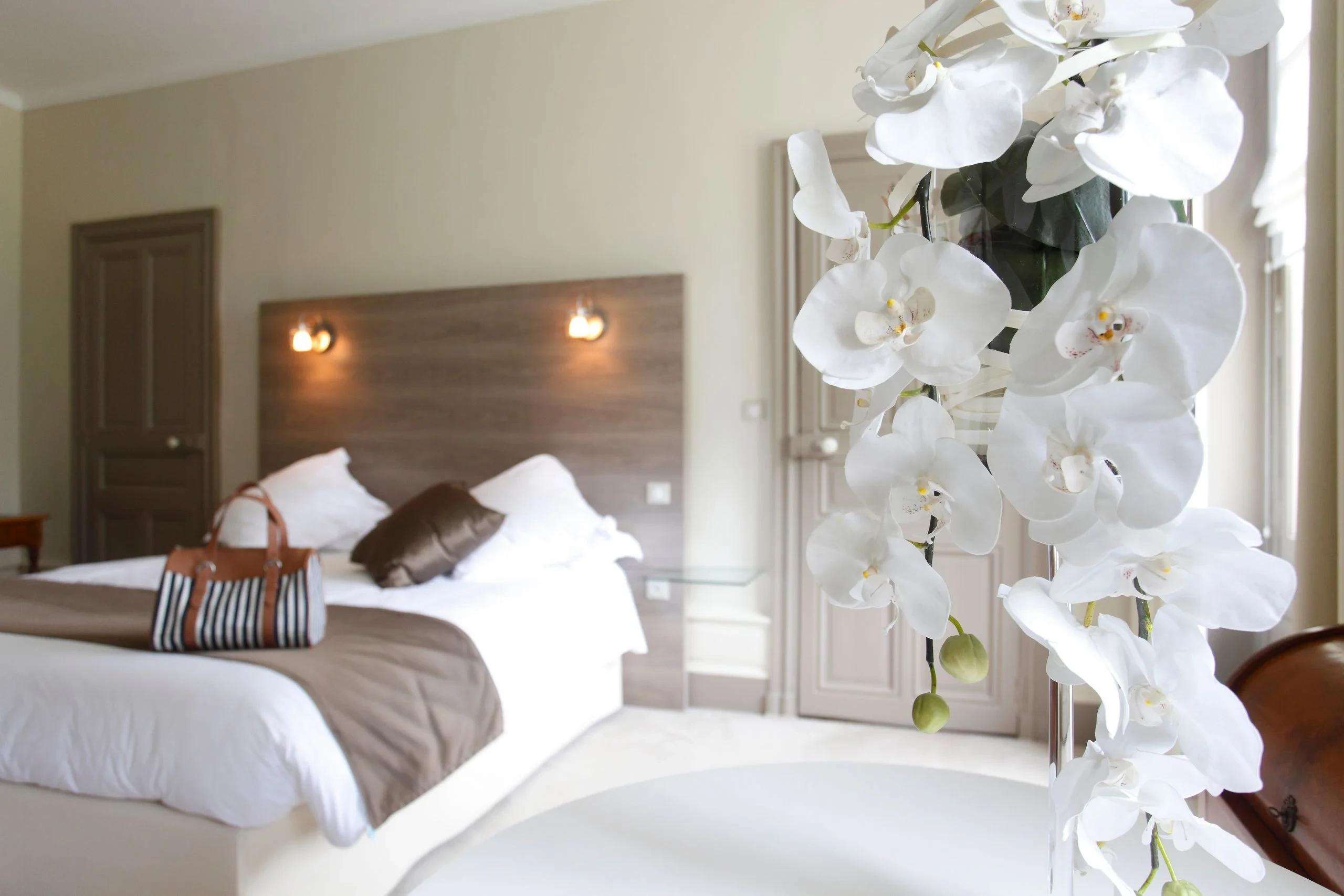 Chambre élégante avec orchidées blanches au premier plan